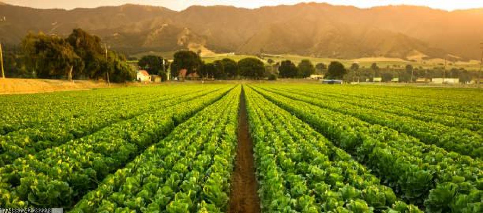 高端场馆运营解决方案